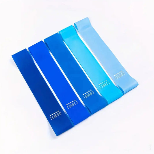 5 Pcs Resistance Bands, Professional Exercise Bands Elastic Stretch Bands for Fitness Yoga Pilates Stretching Strength Training, Workout Bands for Women and Men Home Gym(Blue)
